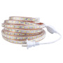 High Voltage 110V SMD5050 LED Strip